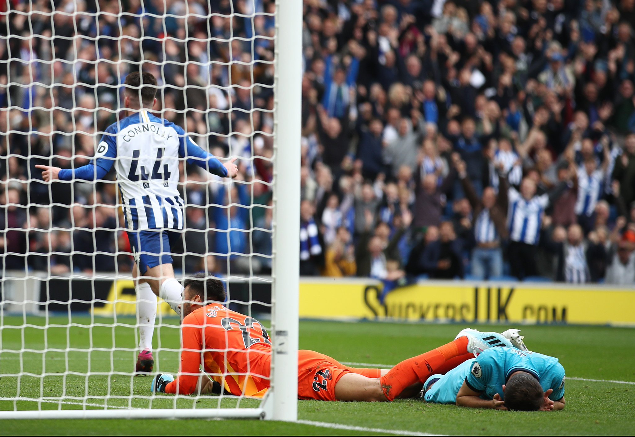 米兰与布鲁 米兰与布鲁